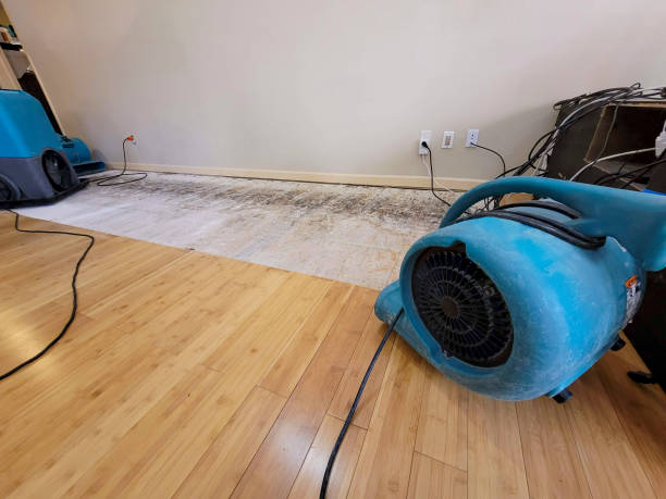 Professional Ceiling Water Damage Repair technician working in Hardwick, MA